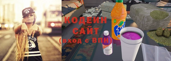 прущие грибы Горнозаводск