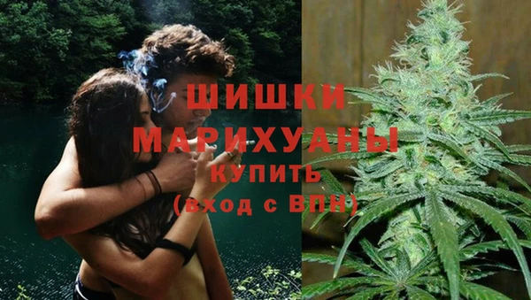 прущие грибы Горнозаводск