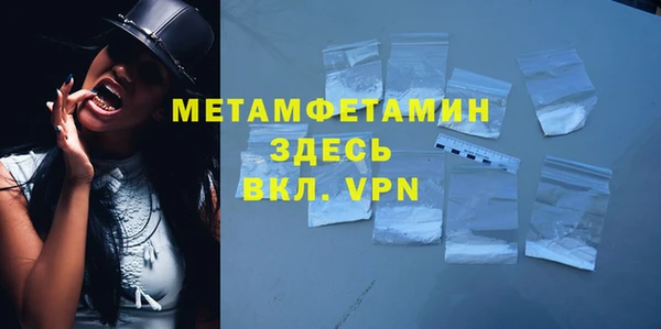прущие грибы Горнозаводск
