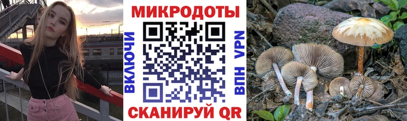 Галлюциногенные грибы прущие грибы Миасс